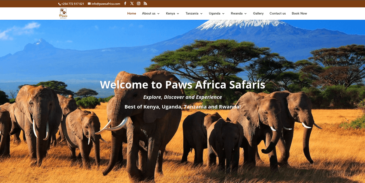 Unveiling Timeless Adventures Since 2000